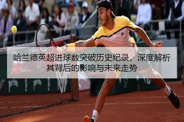 哈兰德英超进球数突破历史纪录，深度解析其背后的影响与未来走势