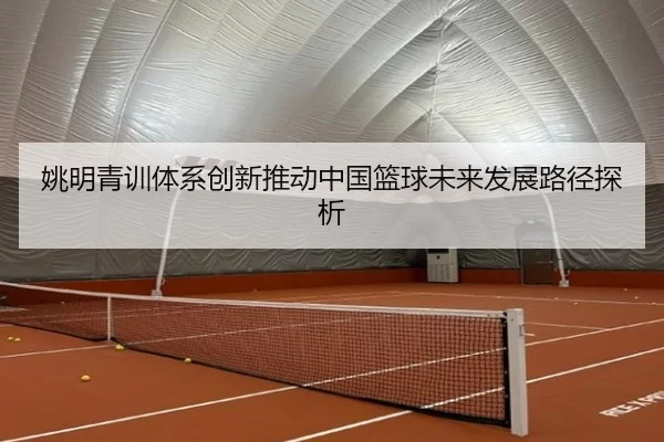 姚明青训体系创新推动中国篮球未来发展路径探析